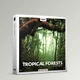 Download Boom Library – Tropical Forests Stereo & Surround Edition