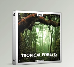 Download Boom Library – Tropical Forests Stereo & Surround Edition
