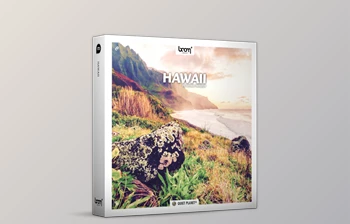 Download Boom <span class='badge badge-warning'>Library</span> – Hawaii Stereo & SURROUND