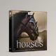 Download Boom Library HORSES