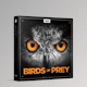 Download Boom Library – Birds of Prey