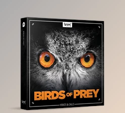 Download Boom Library – Birds of Prey
