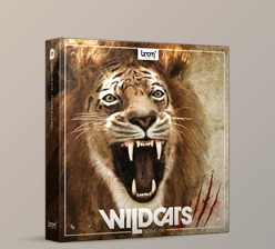 Download Wildcats - BOOM Library