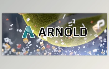 Download Arnold C4DTOA 4.7.3 FOR <span class='badge badge-warning'>CINEMA</span> <span class='badge badge-warning'>4D</span> 2024 (WIN, MAC-4.4.0)