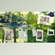 Download Lovely Tree Photo Gallery (Videohive 38569897) - AE Project