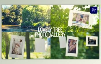 Download Lovely Tree <span class='badge badge-warning'>Photo</span> <span class='badge badge-warning'>Gallery</span> (<span class='badge badge-warning'>Videohive</span> 38569897) - AE <span class='badge badge-warning'>Project</span>