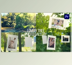 Download Lovely Tree Photo Gallery (Videohive 38569897) - AE Project