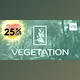 Download Blender Market – Vegetation Pro v5 + Assets Vol. 1 & 2