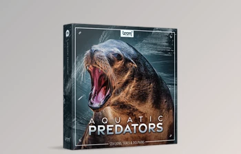 Download <span class='badge badge-warning'>BOOM</span> <span class='badge badge-warning'>Library</span> Aquatic Predators