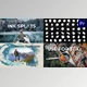 Download Ink Splats | Premiere Pro MOGRT (VideoHive 42974798)