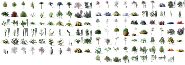 Tree Vegetation