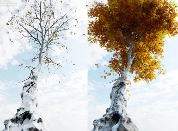 Tree Vegetation