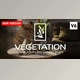 Blender - Download Tree Vegetation – Tree And Plant Animation Library Addon v6 Pro