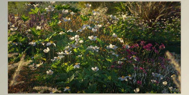 Download Maxtree – Plant Models Vol 49 (2023)