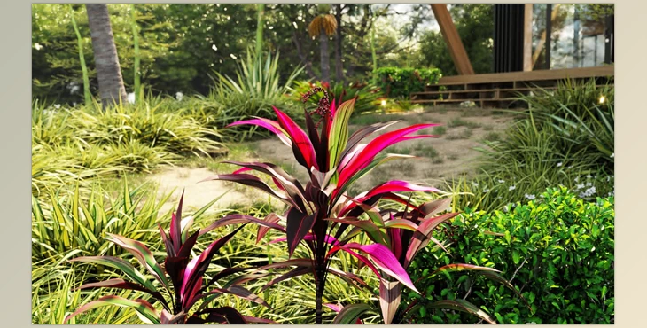 Download Globe Plants – Bundle 33 -New Zealand Home & Garden Plants