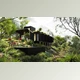 Download Globe Plants – Bundle 33 -New Zealand Home & Garden Plants