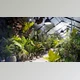 Download Globe Plants – Bundle 30 – Interior Pot Plants