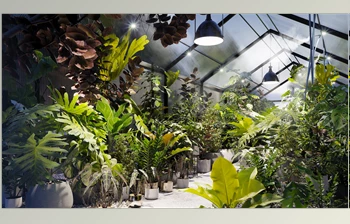 Download <span class='badge badge-warning'>Globe</span> <span class='badge badge-warning'>Plants</span> – <span class='badge badge-warning'>Bundle</span> 30 – Interior Pot <span class='badge badge-warning'>Plants</span>
