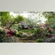 Download Globe Plants – Bundle 27 – North American Home & Garden Plants