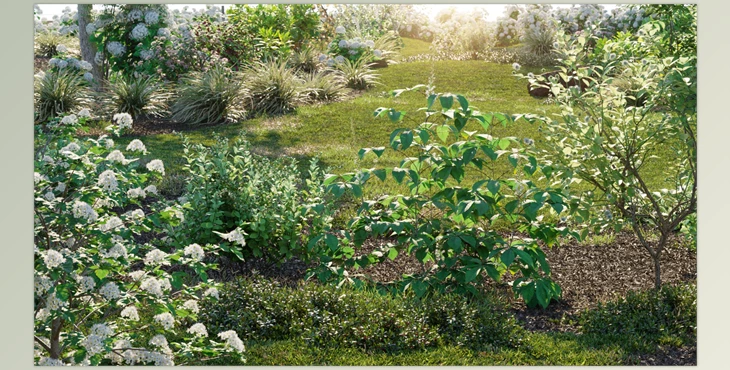 Download Globe Plants – Bundle 29 – North American Home & Garden Plants 02