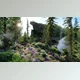 Download Globe Plants – Bundle 31 – Alaskan Plants