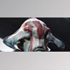 Download The Gnomon Workshop – How To Make A Creature With Character