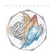 Download Mattia Cellotto Metamorphosis