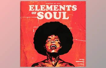 Download Sonix Elements of <span class='badge badge-warning'>Soul</span> Multiformat-Fantastic
