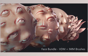 Download Artstation – Zbrush – <span class='badge badge-warning'>Face</span> IMM + VDM Bundle