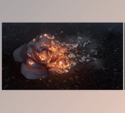 Download Gumroad – Ash Disintegration: Houdini & Nuke VFX Course