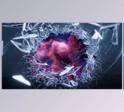 Download Gumroad – Mirror Dimension: Houdini & Nuke VFX Course
