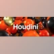 Download Sidefx Houdini v20.5.278 (Win, Mac-v20.5.487)