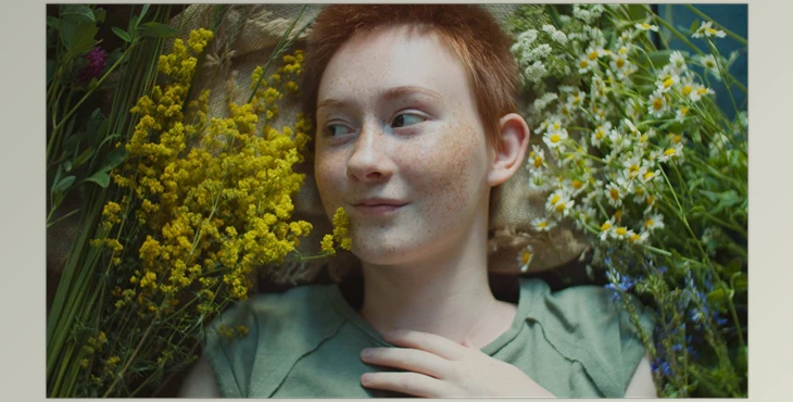 Download FilmForever + Colorist Toolkit (3.0) + Power Curves