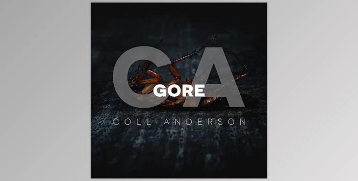 Download C.A. Sound Inc Gore (WAV)