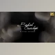 Download Bokeh Overlays (Videohive 27209530)