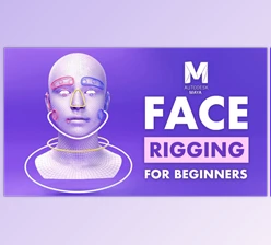 Download FlippedNormals – Face Rigging for Beginners