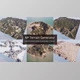 Download Unreal Engine - Blueprints Magic Map Material & Maker (M4) v5.1