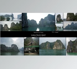Gumroad - Download Halong Bay - Reference Pack