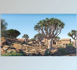 Maxtree - Download Plant Models Vol 73