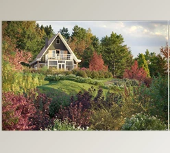 Maxtree - Download Plant Models Vol 81