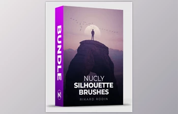 Rikard Rodin - Download Silhouette Brushes <span class='badge badge-warning'>Bundle</span>