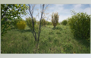 UE <span class='badge badge-warning'>Model</span> Download Hazel Bushes (For 4.24 - 4.27 and 5.0 - 5.5)