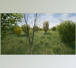 UE Model Download Hazel Bushes (For 4.24 - 4.27 and 5.0 - 5.5)