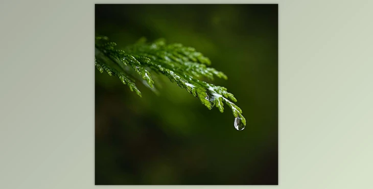 Live Snap Love - Download Everyday Macro Magic