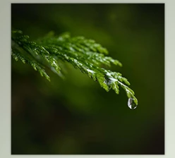 Live Snap Love - Download Everyday Macro Magic