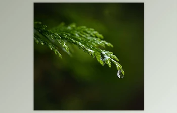 Live Snap <span class='badge badge-warning'>Love</span> - Download Everyday Macro Magic