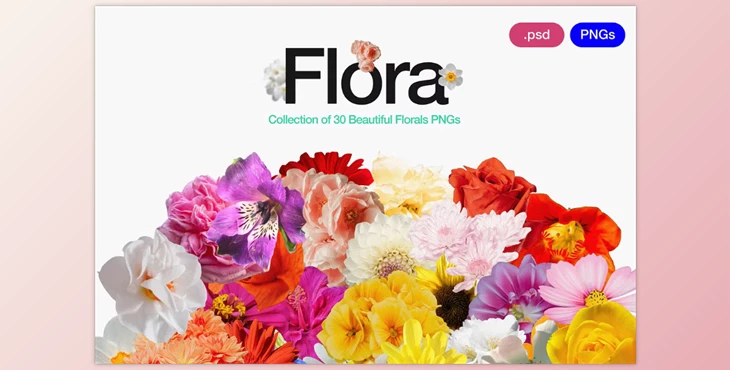 Download  Flora - Flowers Png Bundle 0.1 (Creative Market 280254897)