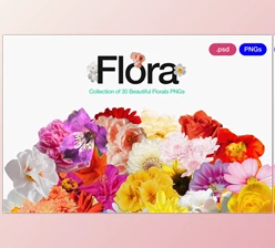 Download Flora - Flowers Png Bundle 0.1 (Creative Market 280254897)