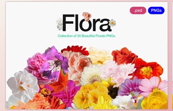 Download Flora - Flowers Png Bundle 0.1 (Creative <span class='badge badge-warning'>Market</span> 280254897)