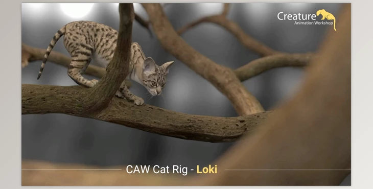 Gumroad - Download Loki Cat Rig